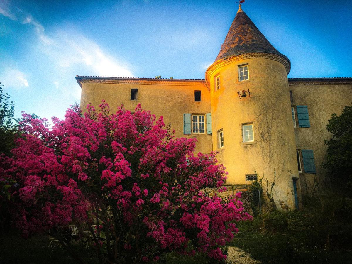 Chateau Gros Puy, Petit Chateau Chambre D'Hote Abjat-sur-Bandiat Exterior photo